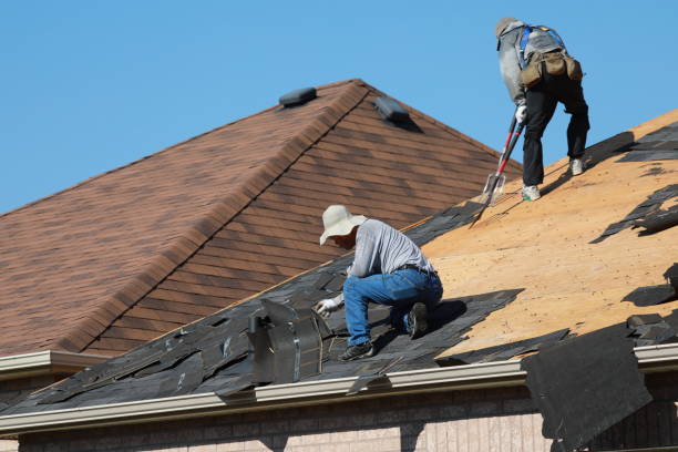 Best Roof Coating and Sealing  in Gravette, AR
