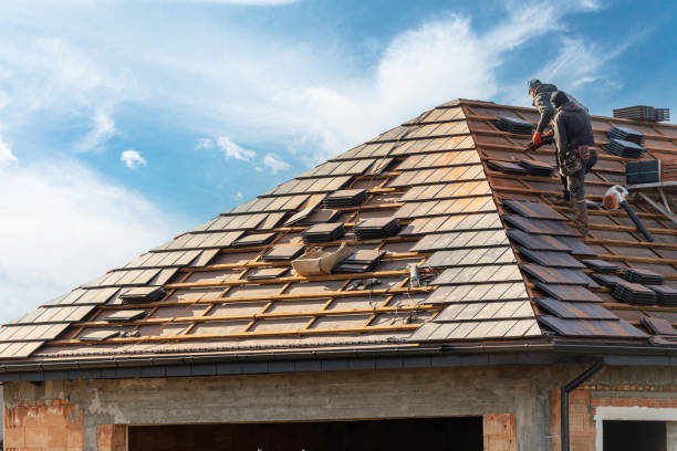 Best Gutter Installation and Repair  in Gravette, AR
